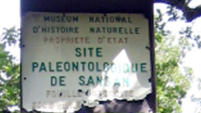 Avec la Communauté de Communes Val de Gers, le site fossilifère de Sansan devrait sortir de l'anonymat 
