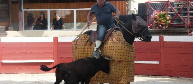 Tienta de la ganadéria de l'Astarac