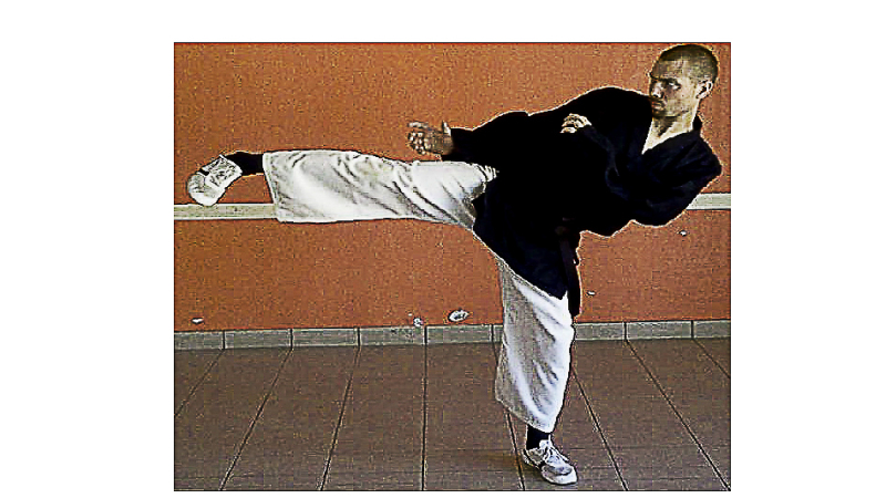 Nogaro: le krav-maga israélien arrive avec le kempô chinois