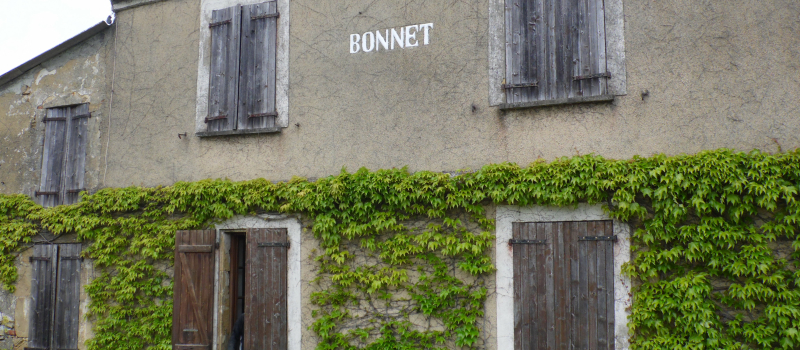 Amis du Lartet 