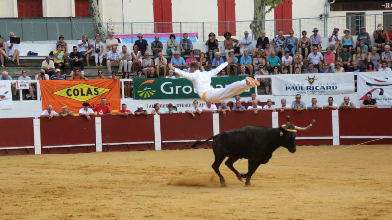 Cazaubon : Festival Gasco-Landais