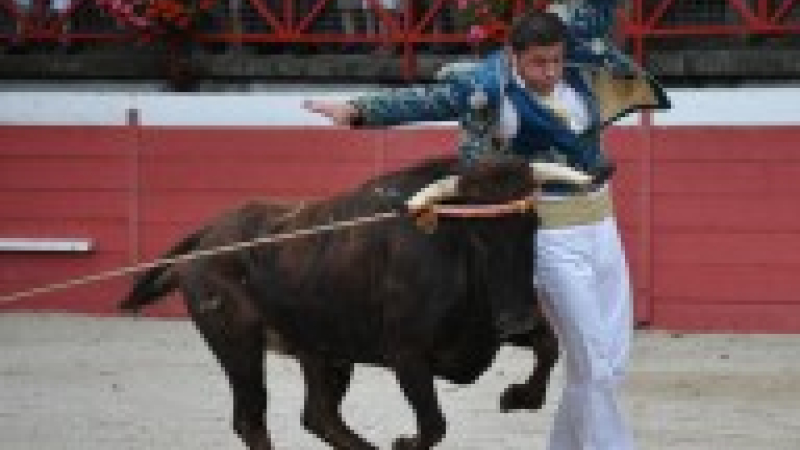 Fêtes patronales de Plaisance 