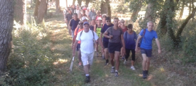 Le sport, pétanque, marche, VTT, à l'honneur lors de la fête locale d'Ampeils