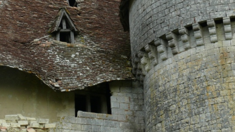 L'appel au secours de l'association de Sauvegarde du château d'Esclignac