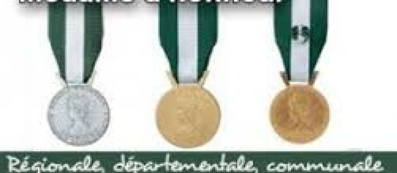 Ils ont reçu la médaille d'honneur régionale, départementale et communale