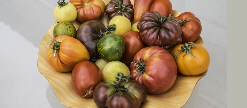 Aignan – De nombreuses espèces de tomates au marché