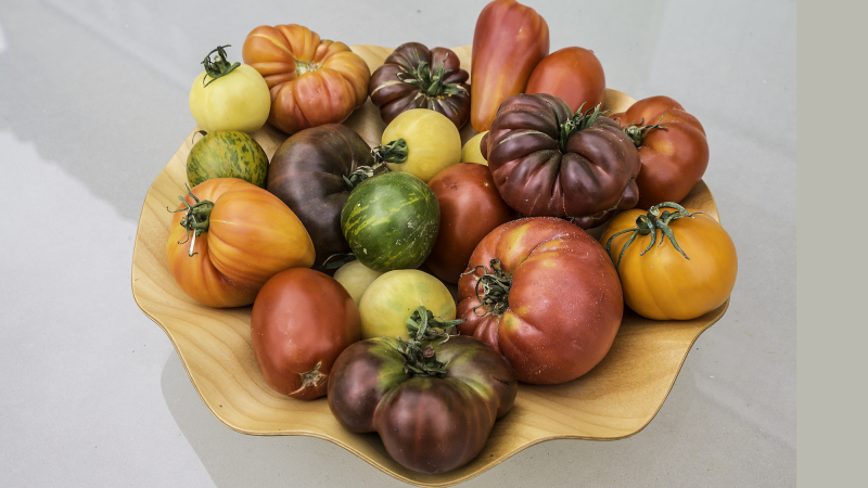 Aignan – De nombreuses espèces de tomates au marché