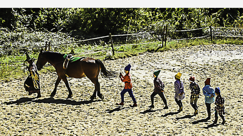 Le Houga – Fête du cheval à Benquet dimanche 19 septembre