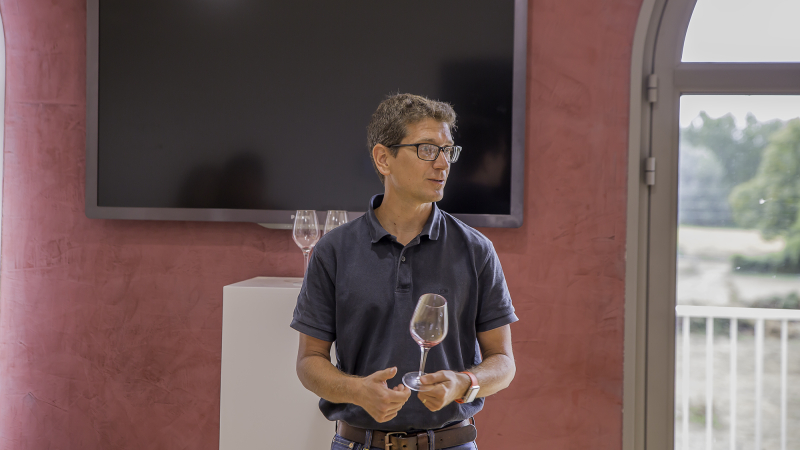 Saint-Mont – Connaissance des vins de Saint Mont