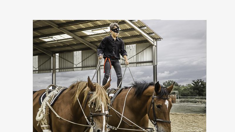 Le Houga – Superbe fête du cheval au Domaine de Benquet
