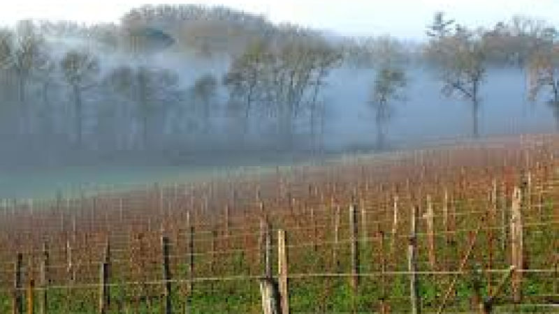 Samedi 1 octobre grande fête des vendanges au domaine de Saux Neuf à Fleurance