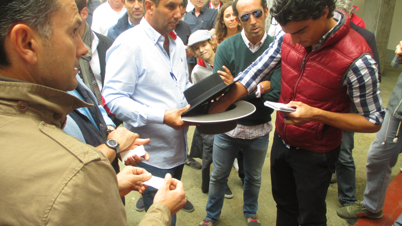 Toros y vinos