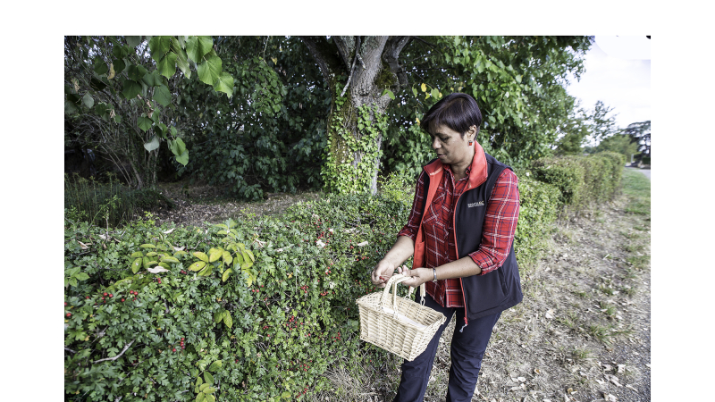 Toujouse – Nadia Boyer et les fruits de l’aubépine