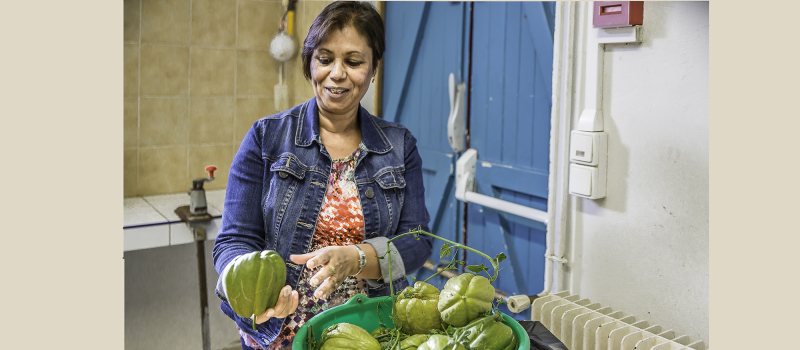 Toujouse – Chronique de cuisine des plantes sauvages