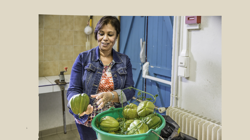 Toujouse – Chronique de cuisine des plantes sauvages