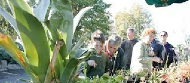 Dimanche 9 octobre à Ordan-Larroque 14ème journée des plantes, rares, méconnues, ou simplement différentes