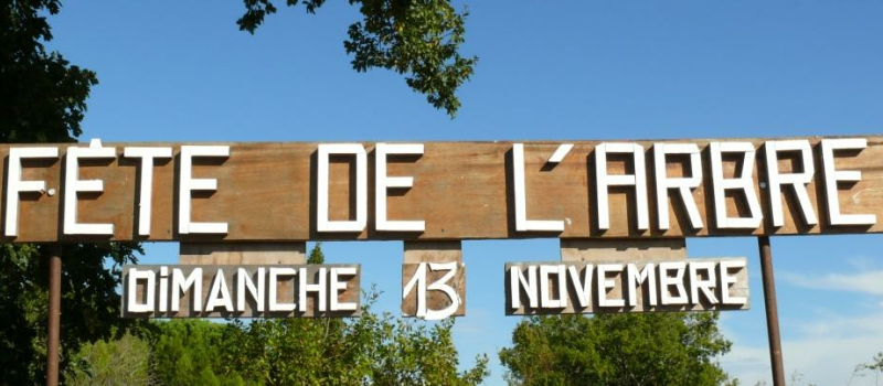 Douzième édition de la fête de l'arbre à Duran