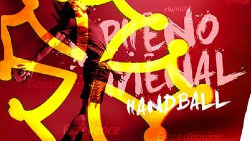 Occitanie Handball en marche