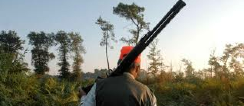 Levée partielle de l'interdiction de la chasse aux gibiers à plumes à proximité de certains foyers identifiés d'influenza aviaire
