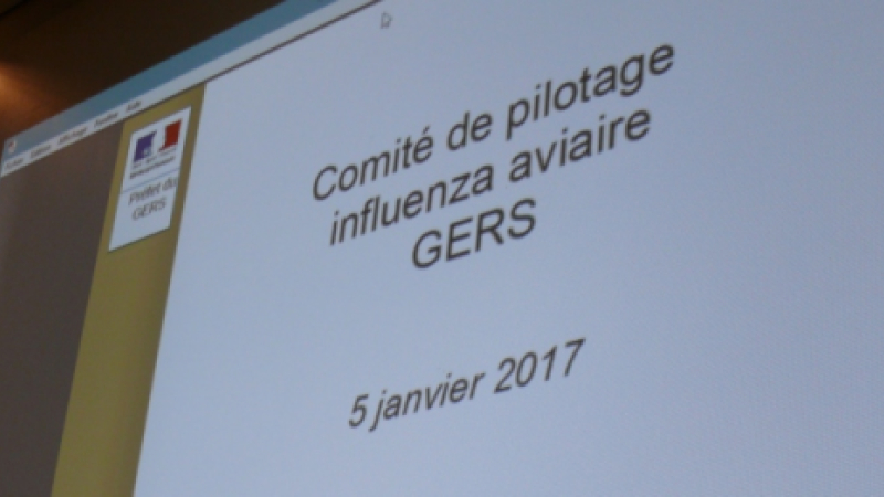 Influenza aviaire: évolution de la stratégie de lutte