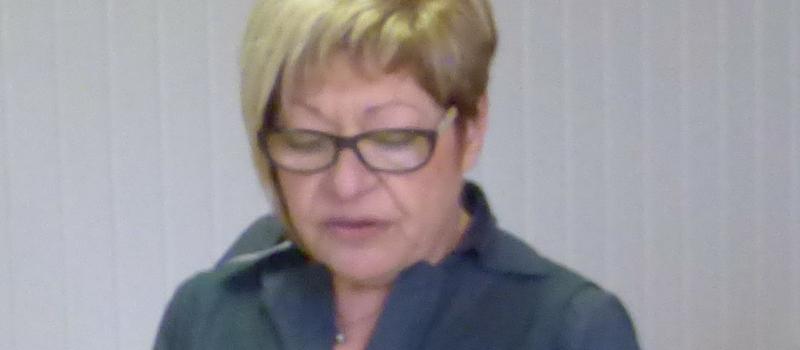 Les vœux du maire de Tourdun