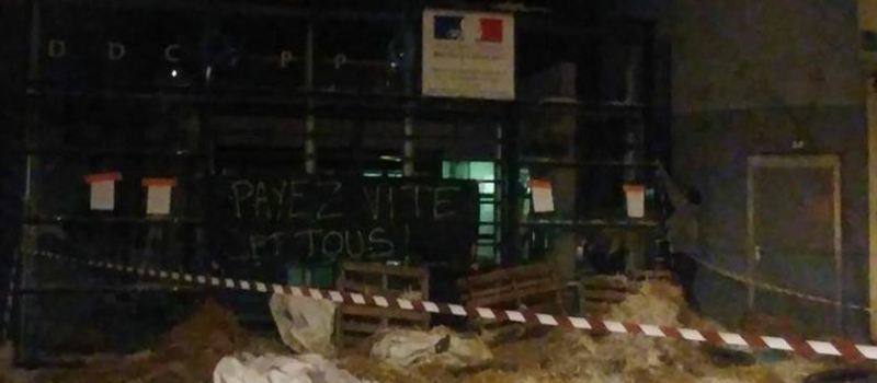 La colère monte chez les éleveurs de canards