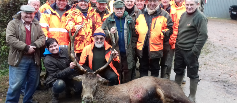 Le cerf s'installe en Astarac