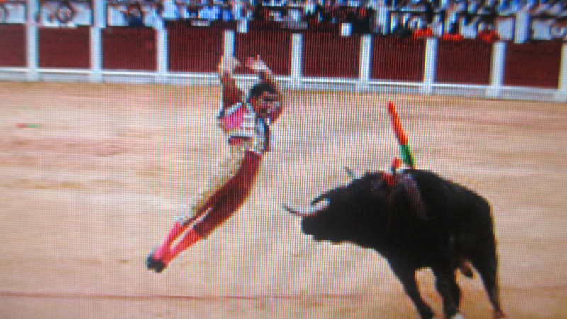 Aignan y toros