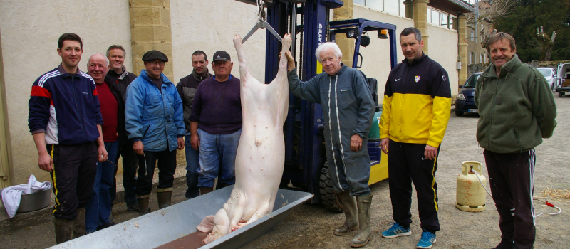 La tradition du "Pèle Porc" toujours tenace à Beaumarchès 