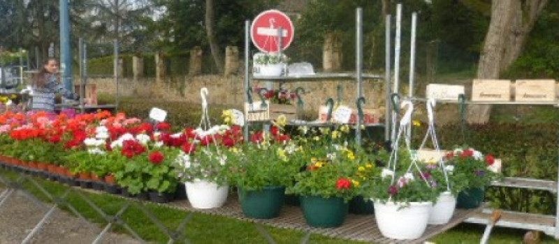 Tillac :  les Floralies