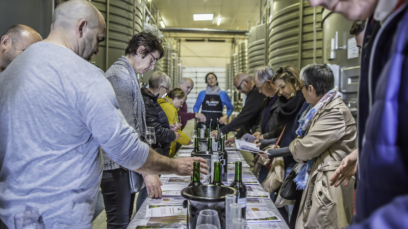 Saint Mont vignoble en fête - Faites votre cuvée !