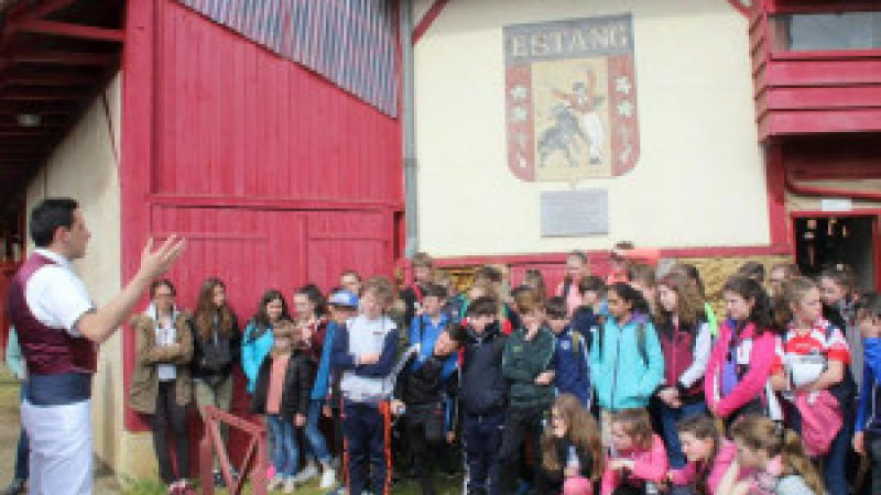 Estang :  Écossais et Irlandais découvrent la course landaise