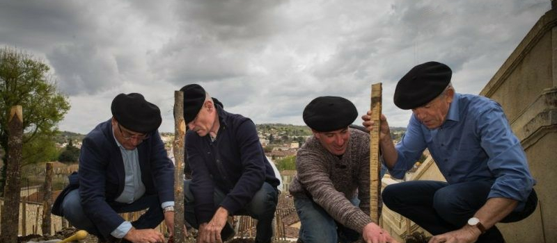 AUCH : les vendanges de l'escalier en 2019
