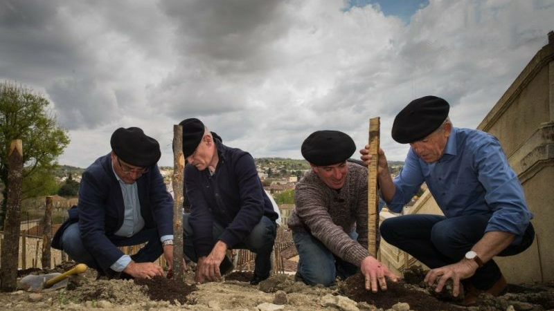 AUCH : les vendanges de l'escalier en 2019