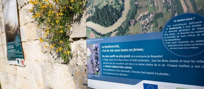 SAINT CLAR  -  Exposition « La biodiversité en Midi Pyrénées un autre regard » 