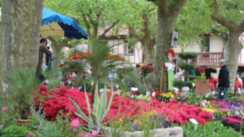 Fourcès : Le  Marché aux fleurs va éclore