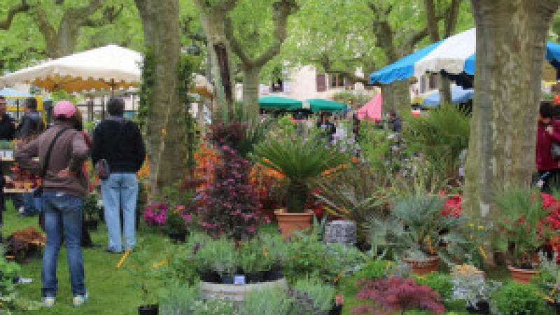 Fourcès : Le 42e Marché aux Fleurs arrive