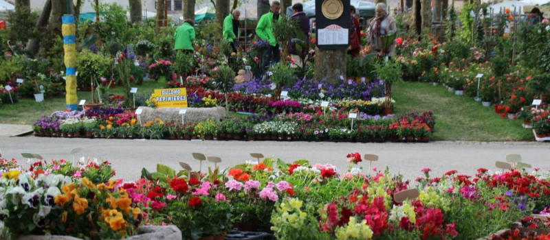 Fourcès : Plantes et rugby une union réussie