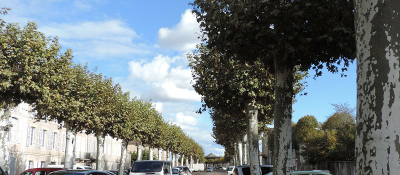 Condom: Conseil municipal