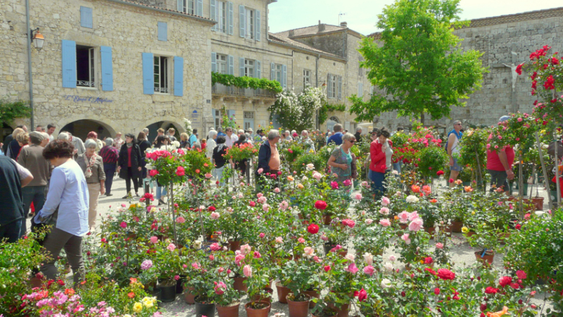 La Romieu: Marché au rosiers.