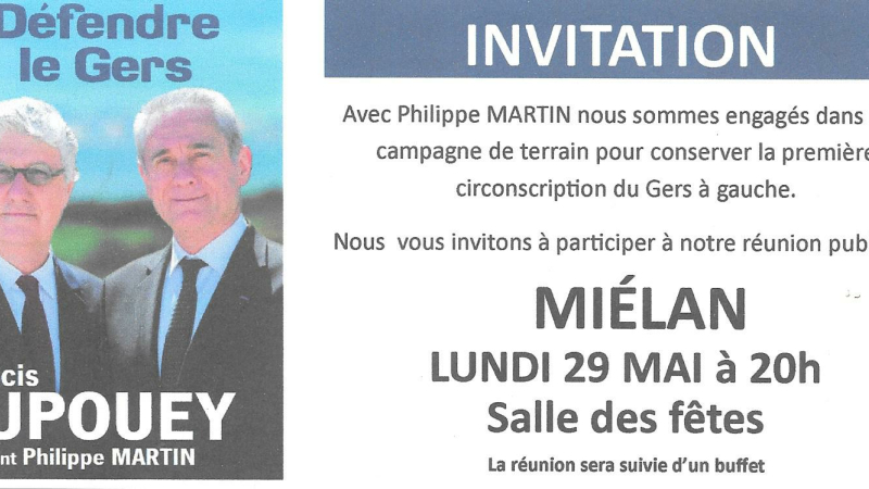 Miélan, élections législatives