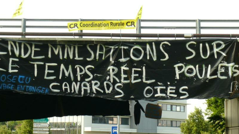 La Coordination Rurale et les Canards en colère bloquent la rocade d'Auch