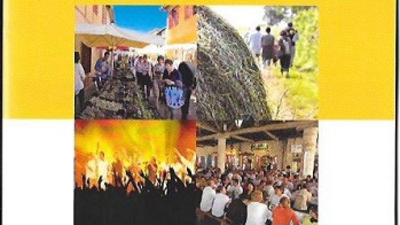 Offices de Tourisme du secteur "Arrats et Save : le calendrier des manifestations 2017 est à votre disposition dans les offices de tourisme