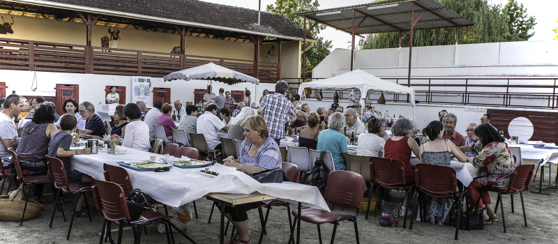 Saint-Germé – Succès du marché dînatoire aux arènes