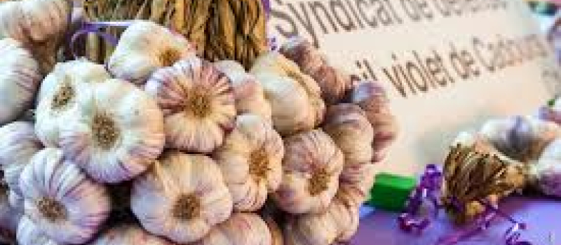 L' Ail violet de Cadours classé en AOP