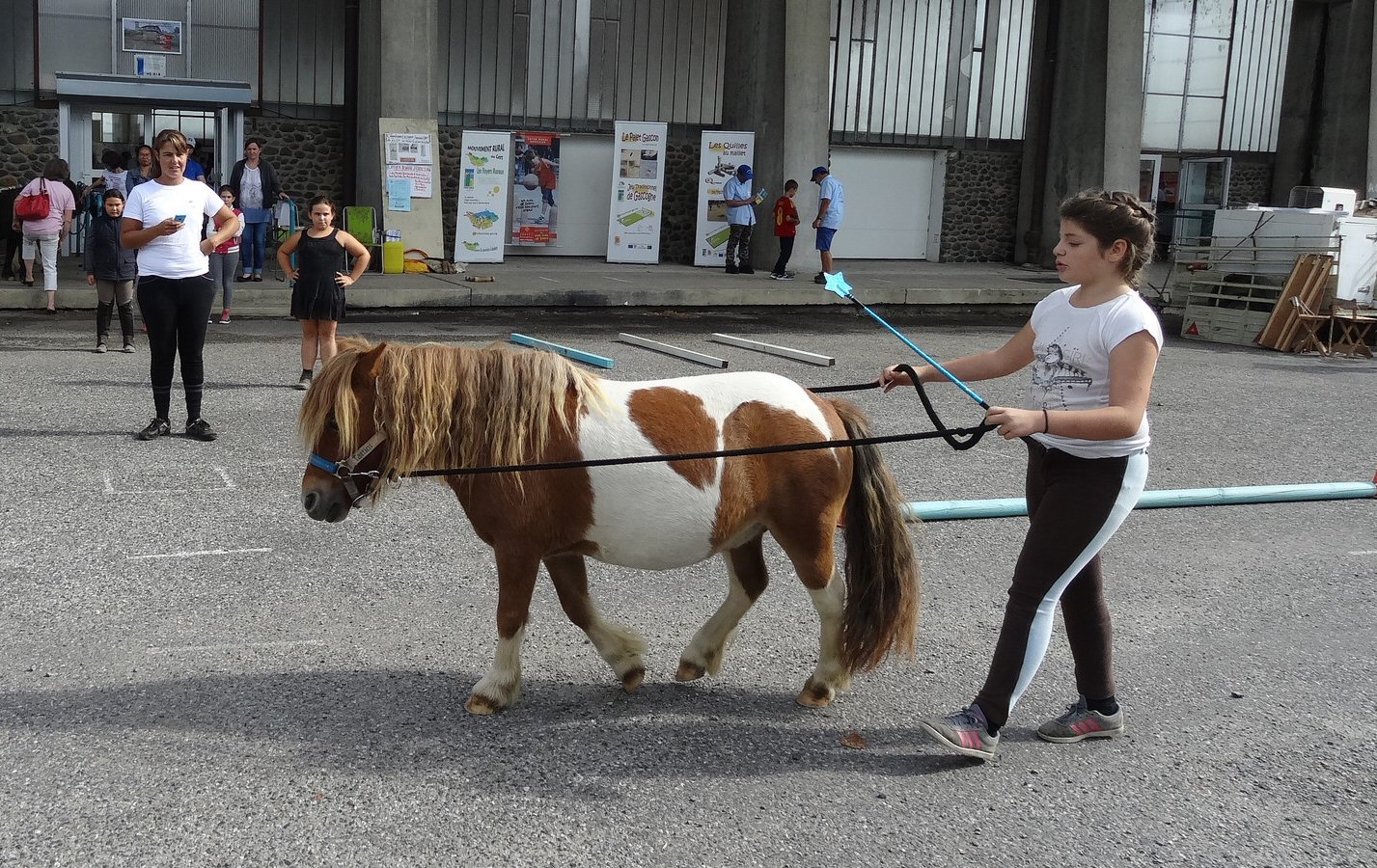 Le cheval c'est pour tous les  âges