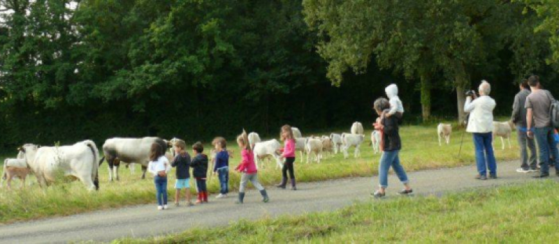 Castin : Des enfants de la maternelle de la Calandreta de Bocòna ont visité la ferme de Pierrette et Robert Luche
