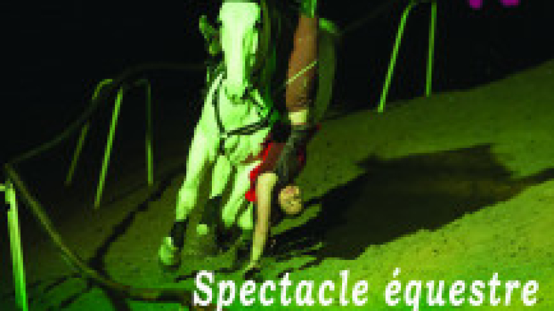 Cazaubon  :   Spectacle équestre Alarida