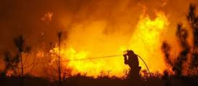 Vingt sapeurs-pompiers Gersois en renfort contre les feux de forêts sur le bassin méditerranéen