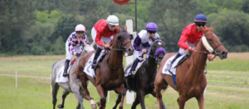 Cazaubon : Courses de chevaux